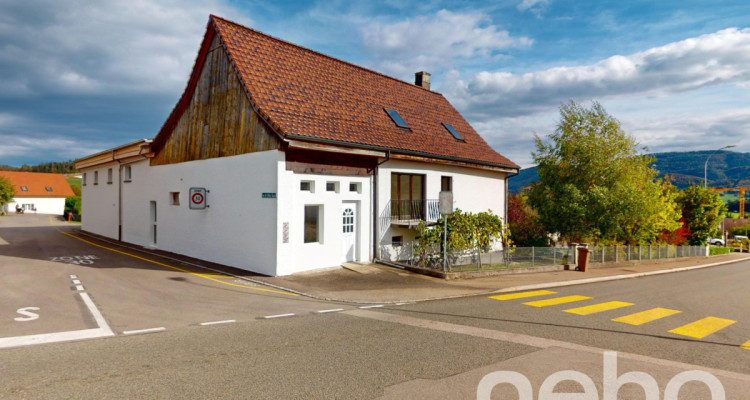 Magnifique ferme entièrement rénovée avec potentiel locatif image 1