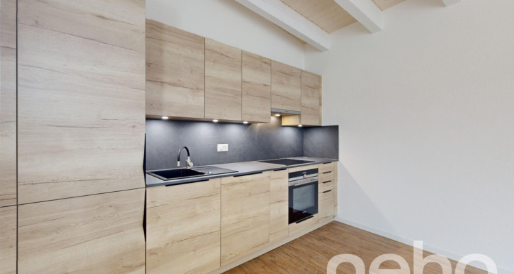 Maison dhabitation + 3 appartements pour investisseurs! image 12