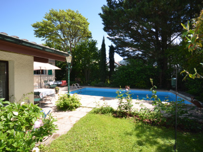 Un îlot de verdure avec piscine image 1