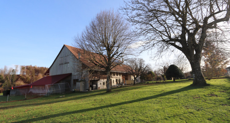 Ferme d’habitation mitoyenne de 5.5 pièces avec loft de 106 m2 image 3