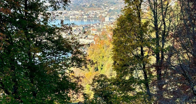 Maison avec vue imprenable sur le Lac Léman en viager occupé sans rente limité à 10 ans image 2