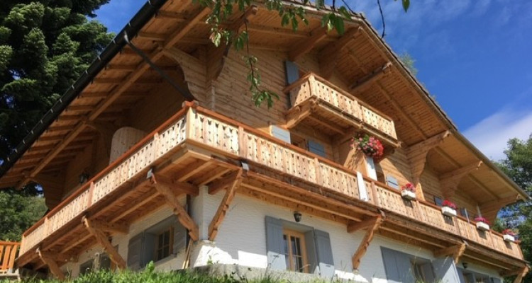 Dans chalet Appart. dangle cosy,  vue dominante sur les dents du midi. image 1