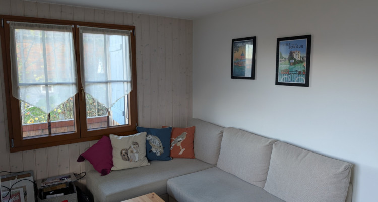 Dans chalet Appart. dangle cosy,  vue dominante sur les dents du midi. image 3