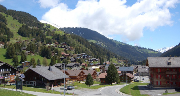 APPARTEMENT DE VACANCES A MORGINS image 1