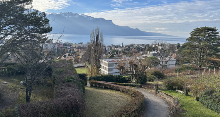 Maison 6.5 pièces historique avec vue sur le Lac ! image 1