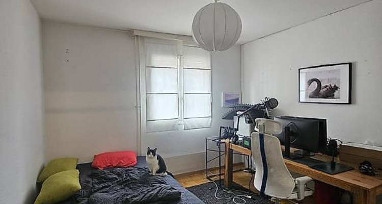 Appartement de 4 pièces au 1ère étage localiser à Genève 1205 image 3