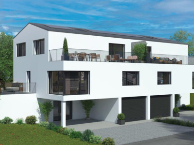 Villas jumelles en PPE disponibles en exclusivité à 15 minutes de Sion image 1