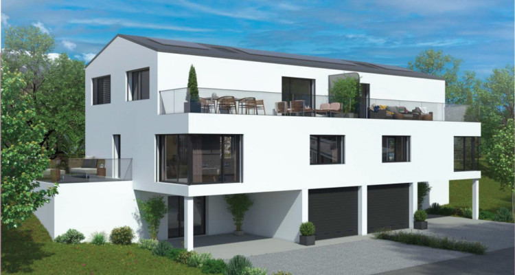 Villas jumelles en PPE disponibles en exclusivité à 15 minutes de Sion image 1