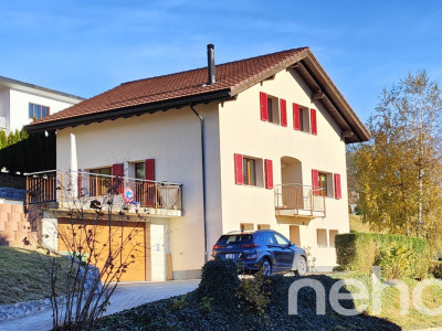 Charmante maison individuelle rénovée avec grand jardin et vue dégagée image 1