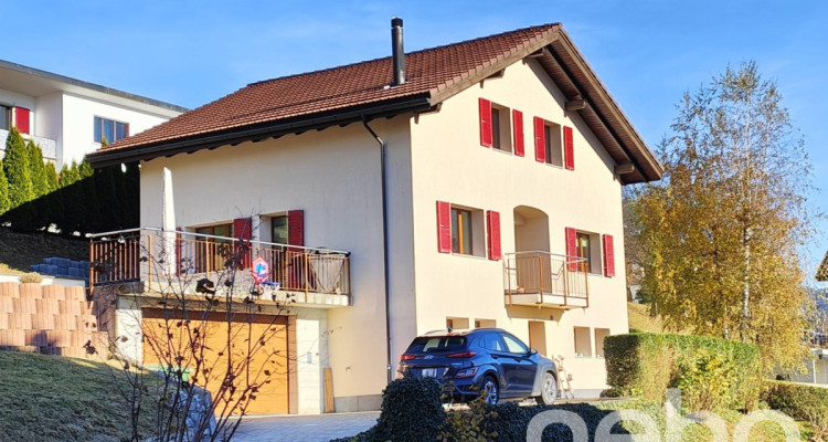 Charmante maison individuelle rénovée avec grand jardin et vue dégagée image 1