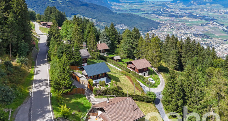 Splendide chalet rénové et son studio privé image 3