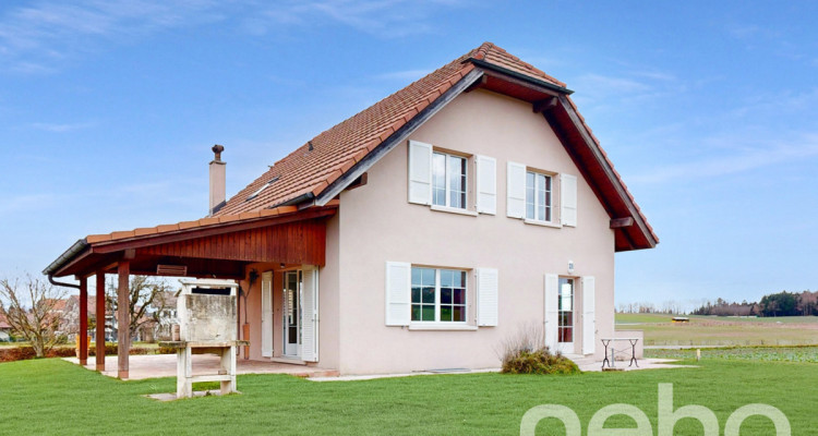 Spacieuse maison en bordure de champs, quartier calme et familial image 1