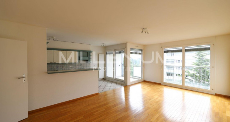 Appartement 4 pièces à Petit-Lancy image 1