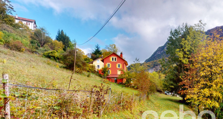 Grande maison familiale ou bi-familiale au coeur de la nature image 1