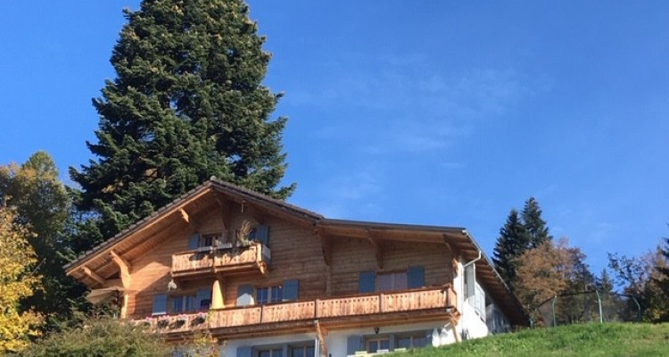 Dans chalet Appart. dangle cosy,  vue dominante sur les dents du midi. image 12