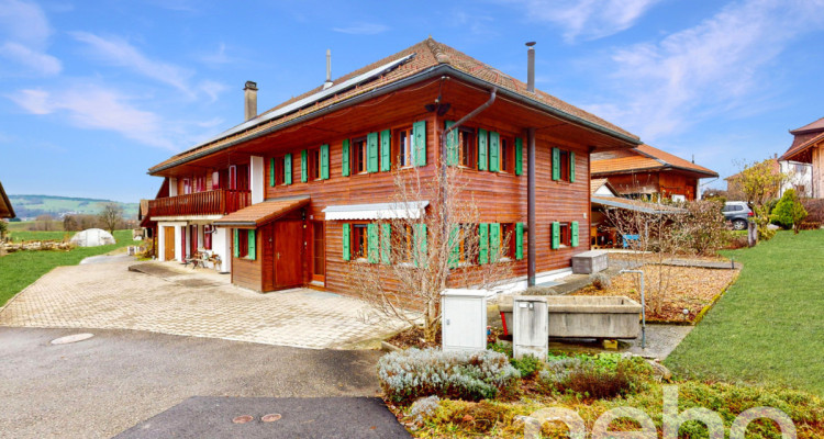 Au coeur de la Gruyère: Charmante maison jumelle dAngle avec jardin image 2