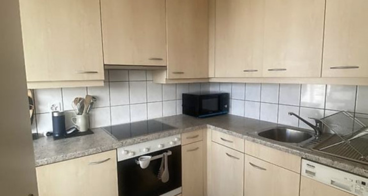 URGENT POUR LE 7.01; Magnifique appartement 2 pièces au Eaux vives  image 3