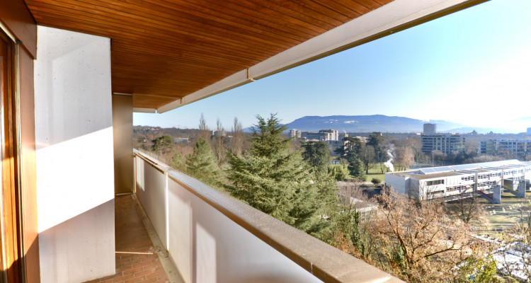 Appartement avec magnifique vue sur le Jet deau et le lac image 8