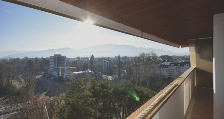 Appartement avec magnifique vue sur le Jet deau et le lac image 10