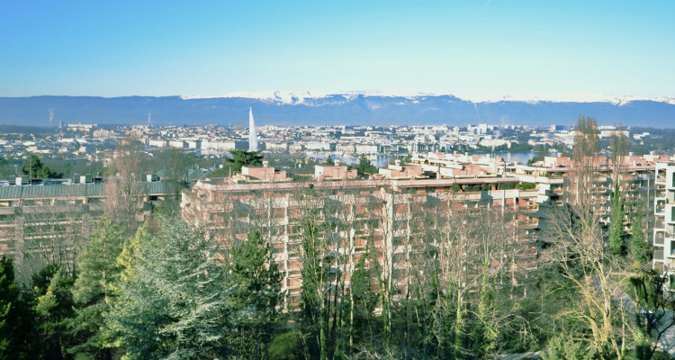 Appartement avec magnifique vue sur le Jet deau et le lac image 9