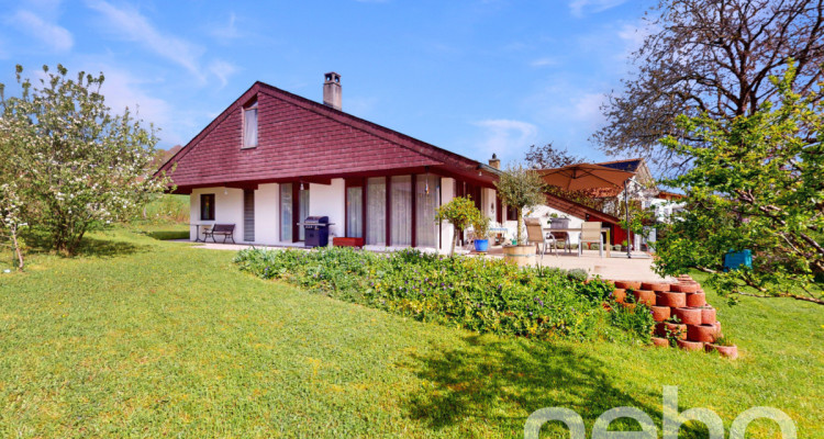 Wunderschönes Einfamilienhaus mit grossem Garten und Alpensicht image 4