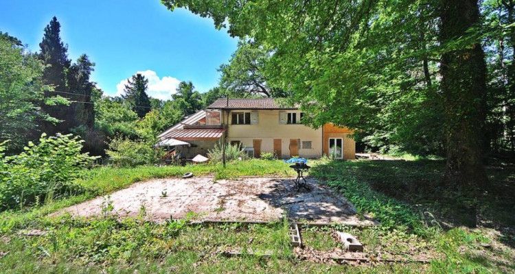 A rénover: Villa individuelle au calme en zone bois et forêt image 7