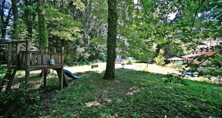 A rénover: Villa individuelle au calme en zone bois et forêt image 15