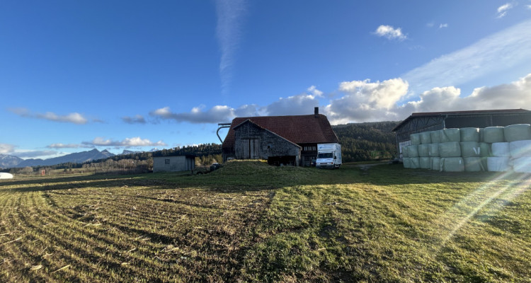 Ferme fribourgeoise à rénover avec un potentiel de construction exceptionnel ! image 2