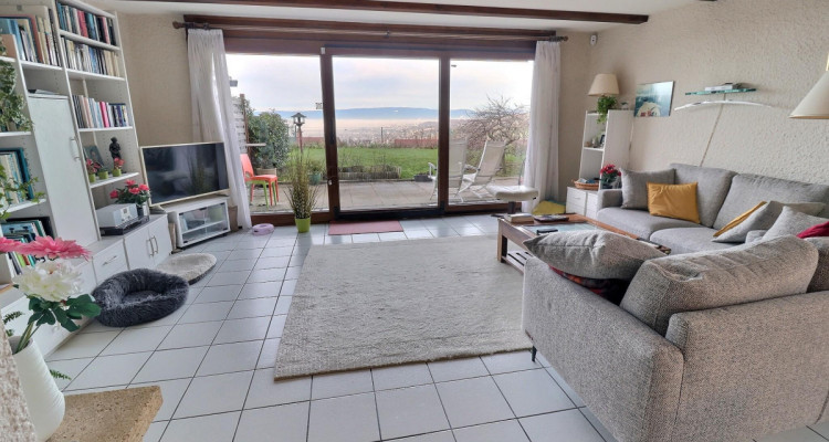 Magnifique maison avec vue sur le Lac Léman en viager occupé sans rente image 4