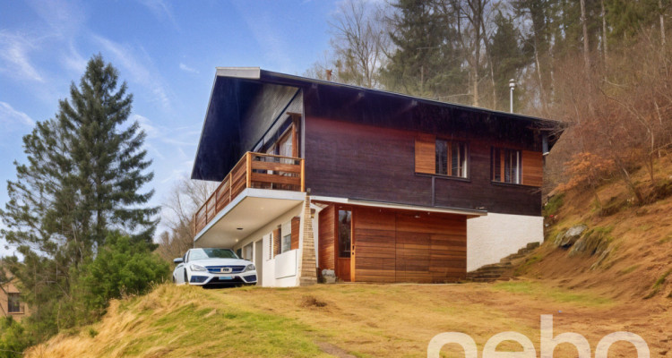 Charmant chalet à Saint-Cergue : un havre de paix avec vue imprenable image 1