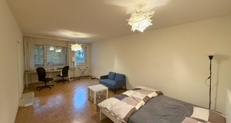 Superbe appartement au cœur de Genève – Opportunité à saisir ! image 1