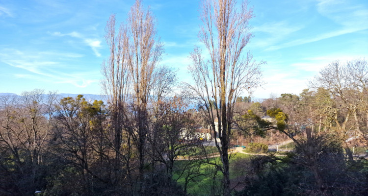 Splendide 3 pièces PPE/ Parc de la Grange, Genève par Abby Bryand immobilier image 9