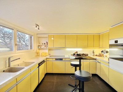 SUPERBE VUE AU CALME DANS QUARTIER RESIDENTIEL image 11