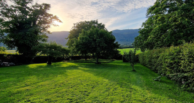 Maison familiale avec une magnifique vue sur le jura et le Golf de Chéserex image 5