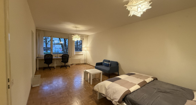 Superbe appartement au cœur de Genève – Opportunité à saisir ! image 1