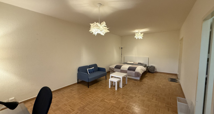 Superbe appartement au cœur de Genève – Opportunité à saisir ! image 2