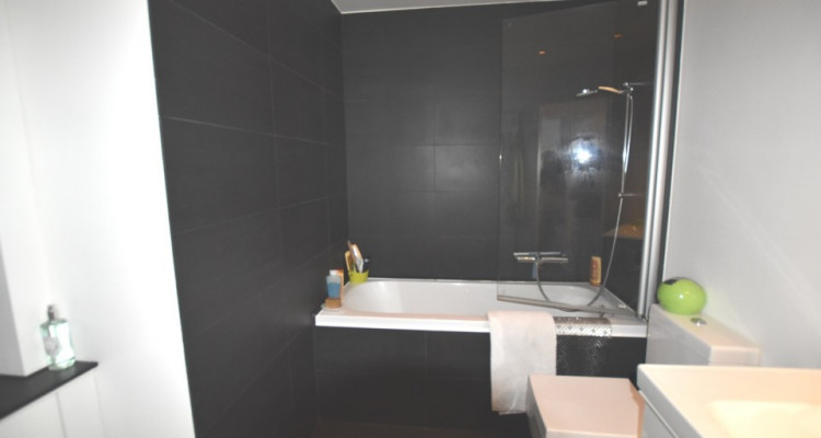 LUXUEUX APPARTEMENT DANS UN ÉCRIN DE VERDURE A DEUX PAS DU CENTRE image 6