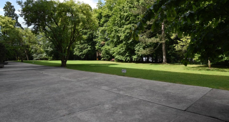 LUXUEUX APPARTEMENT DANS UN ÉCRIN DE VERDURE A DEUX PAS DU CENTRE image 7