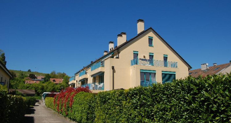 Joli duplex de 5 pièces à Lully au calme avec deux terrasses image 2