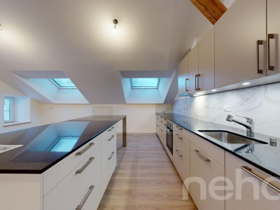 Splendide 5.5p sous les combles orienté sud dans bâtiment historique! image 5