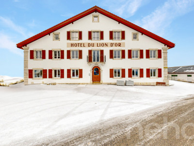 Superbe appartement de 3.5 orienté sud-ouest dans bâtiment historique image 1