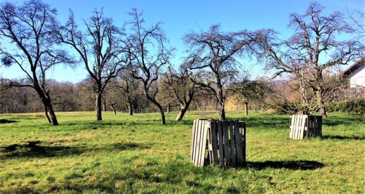 Ferme à rénover à 3 minutes dYverdon image 2