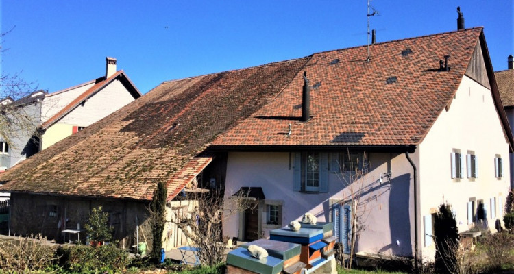 Ferme à rénover à 3 minutes dYverdon image 1