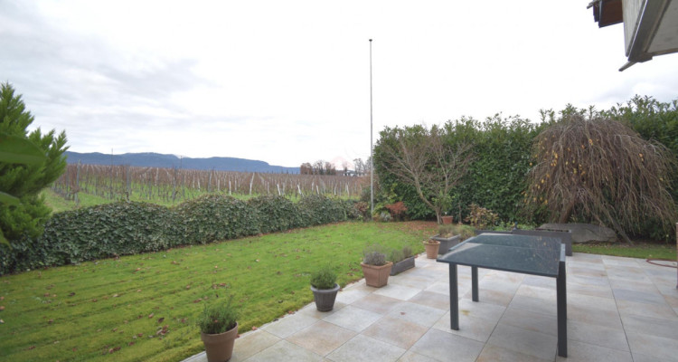 À Founex, votre maison familiale : maison spacieuse avec jardin et vue sur les vignes image 1