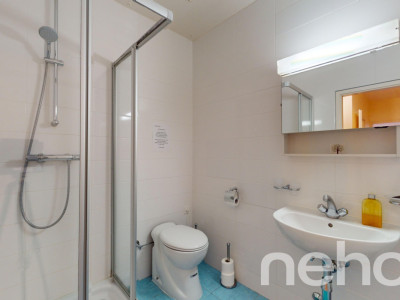 Entouré de verdure image 10