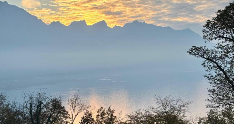 Maison en viager occupé sans rente limité à 10 ans - Vue imprenable sur le Lac Léman image 2