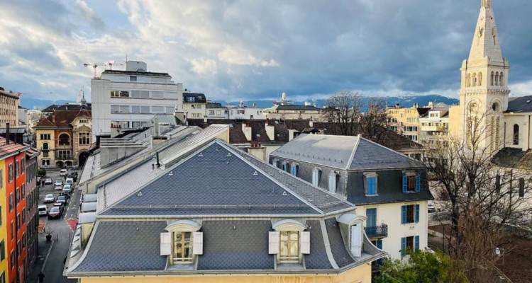 Magnifique appartement 3 pièces , entre Carouge et Plainpalais  image 2