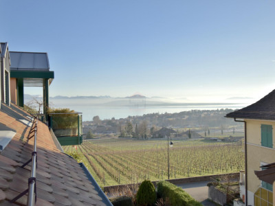 Duplex de 124 m² avec vue panoramique sur le lac et les vignes image 1