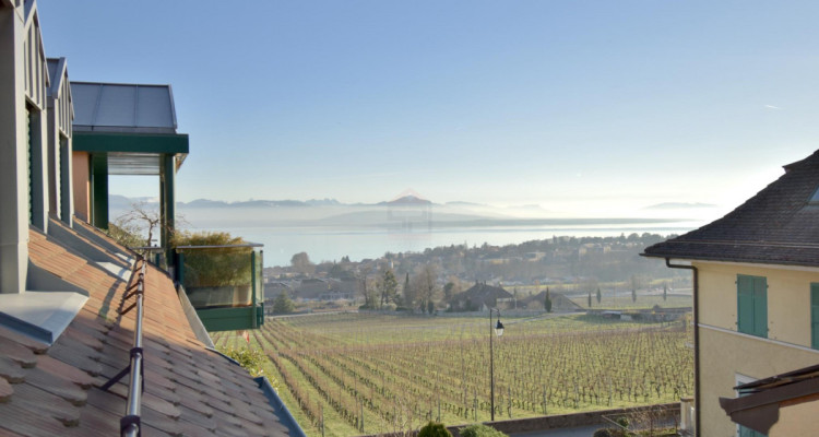 Duplex de 124 m² avec vue panoramique sur le lac et les vignes image 1