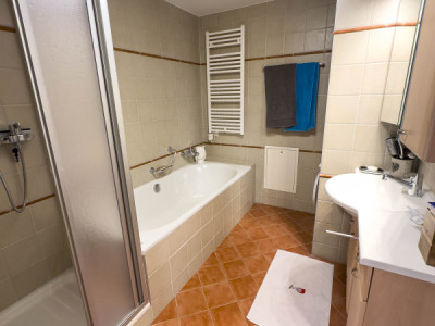 Vercorin - 3.5 pièces en résidence secondaire - Roches-Hombes image 10